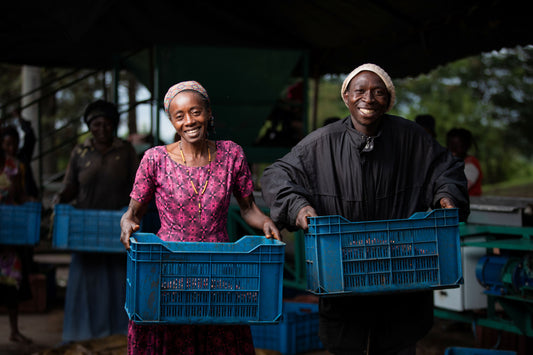 Uganda African Moon, Natural - Filter